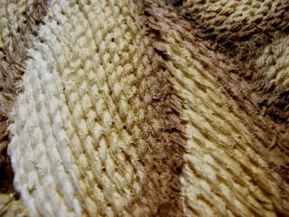 Roped_In___Origi_4a3017e8c4718.jpg